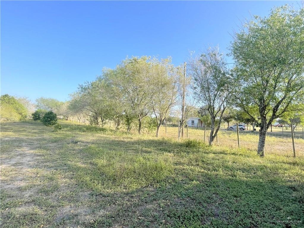 9914 Cibolo Drive, Edinburg, Texas image 5