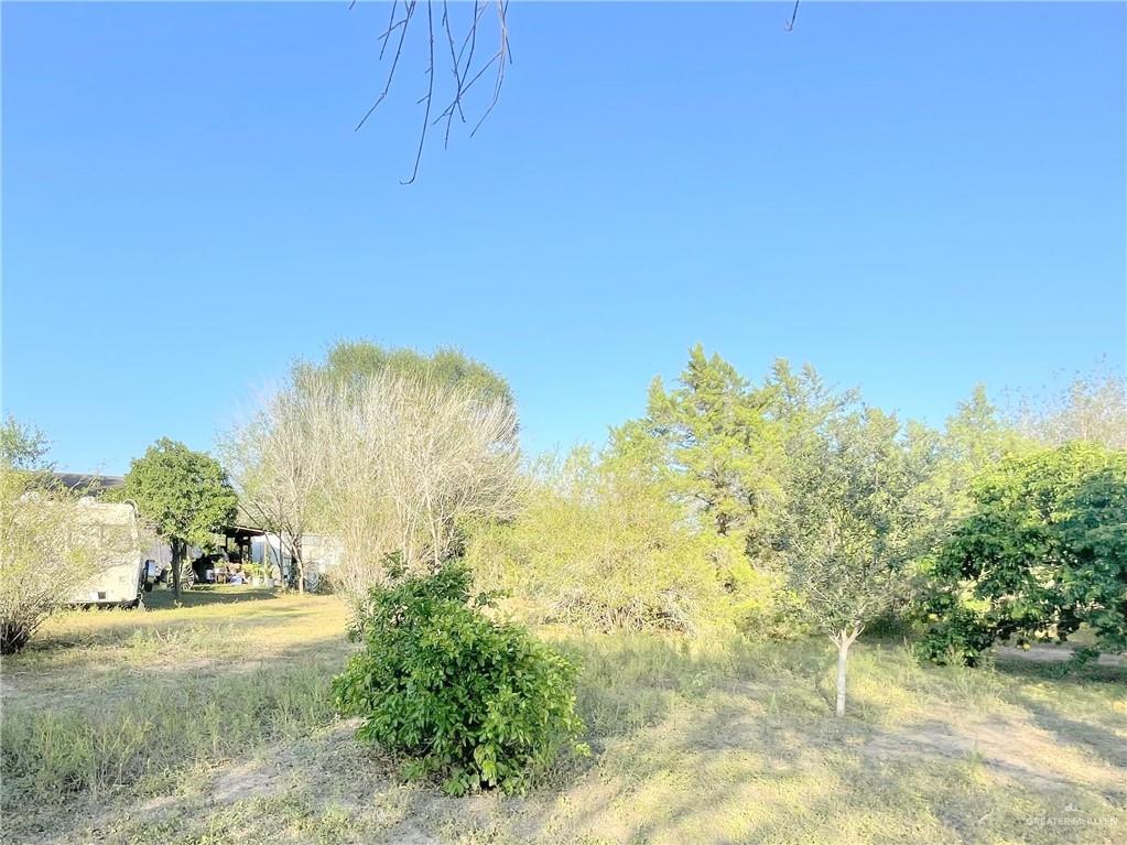 9914 Cibolo Drive, Edinburg, Texas image 9