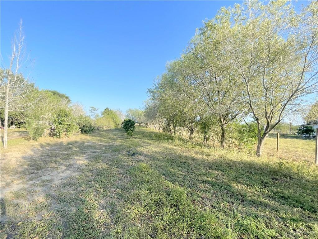 9914 Cibolo Drive, Edinburg, Texas image 6