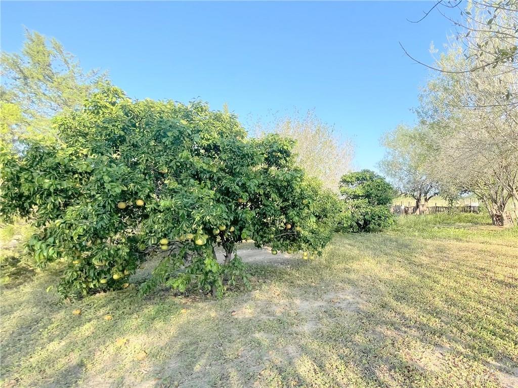 9914 Cibolo Drive, Edinburg, Texas image 10