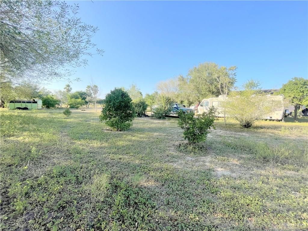 9914 Cibolo Drive, Edinburg, Texas image 8