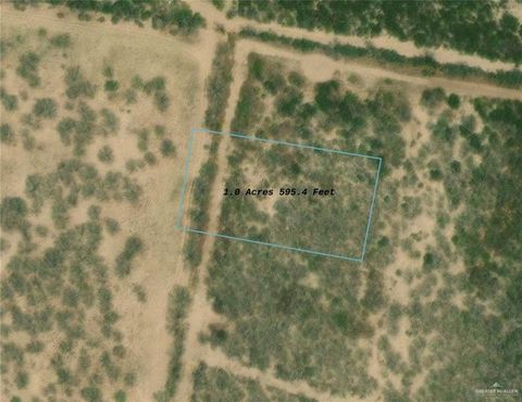 Vacant Land For Sale - 4 1/2 MILE N Fm 2360 Road<br/> Starr County, Rio Grande City, TX 78547