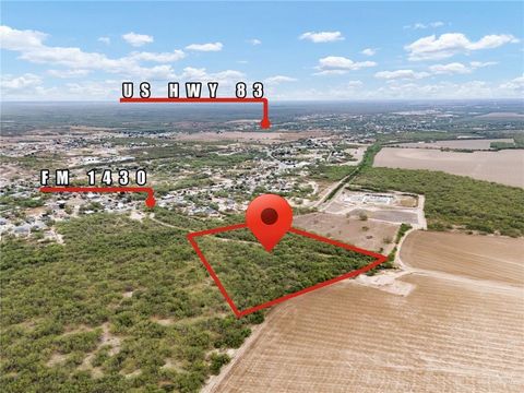 Vacant Land For Sale - TR 2 & 3A Fm 1430<br/> Starr County, Rio Grande City, TX 78582
