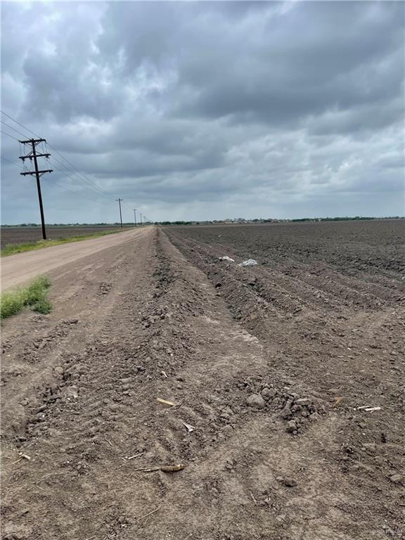 TBD E Mile 15 1/2 Road, Elsa, Texas image 3