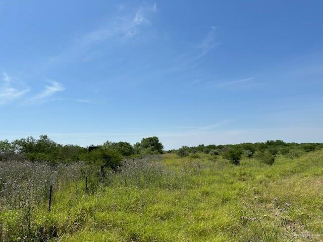 172 E Fm 755 Road, Santa Elena, Texas image 7