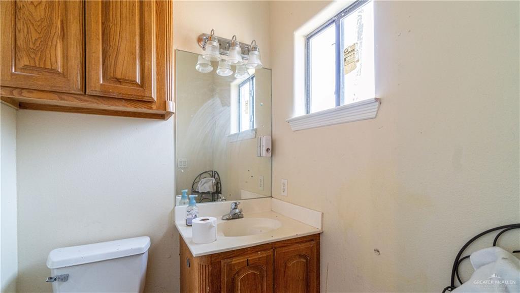 4706 N Trosper Road, Palmhurst, Texas image 13