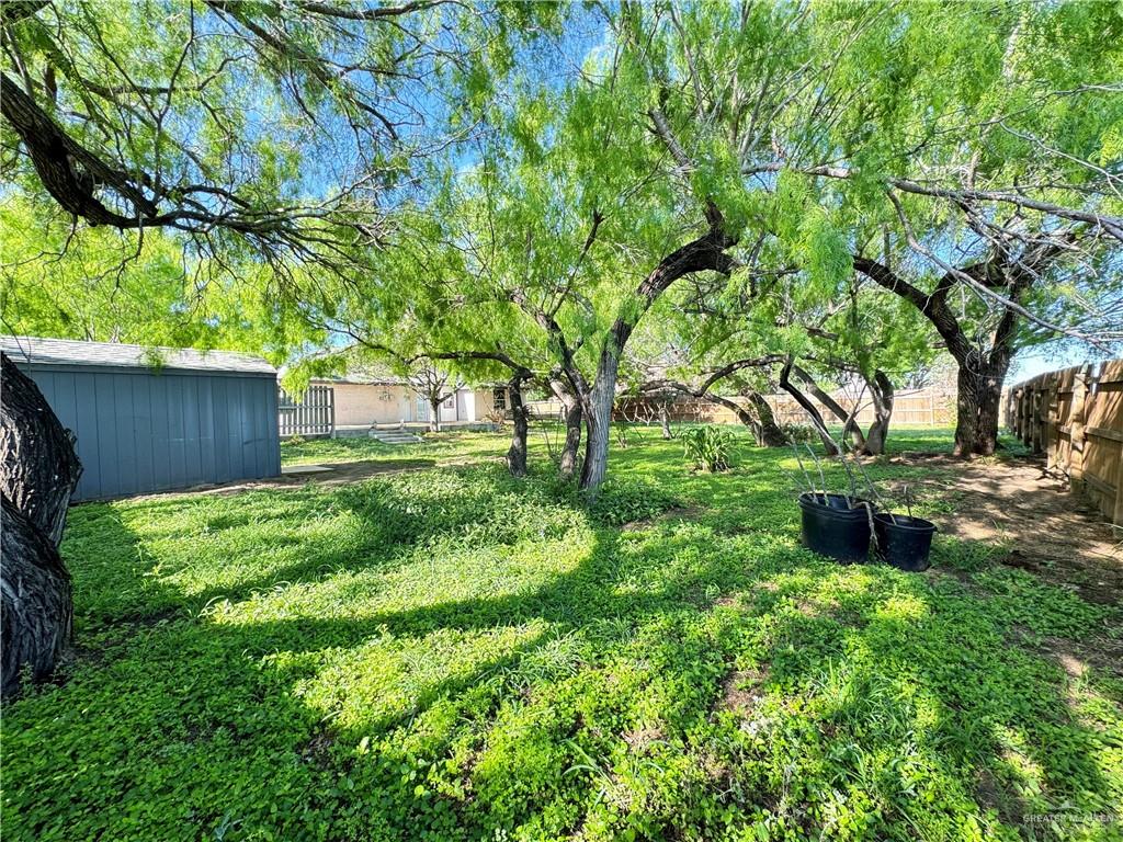 4208 Country Street, Edinburg, Texas image 26