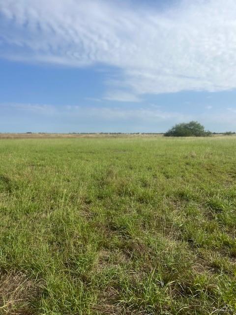 00 N Mile 13 Road, Mercedes, Texas image 3