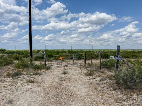Vacant Land For Sale - LOT 9 N Fm 3167<br/> Starr County, Rio Grande City, TX 78582