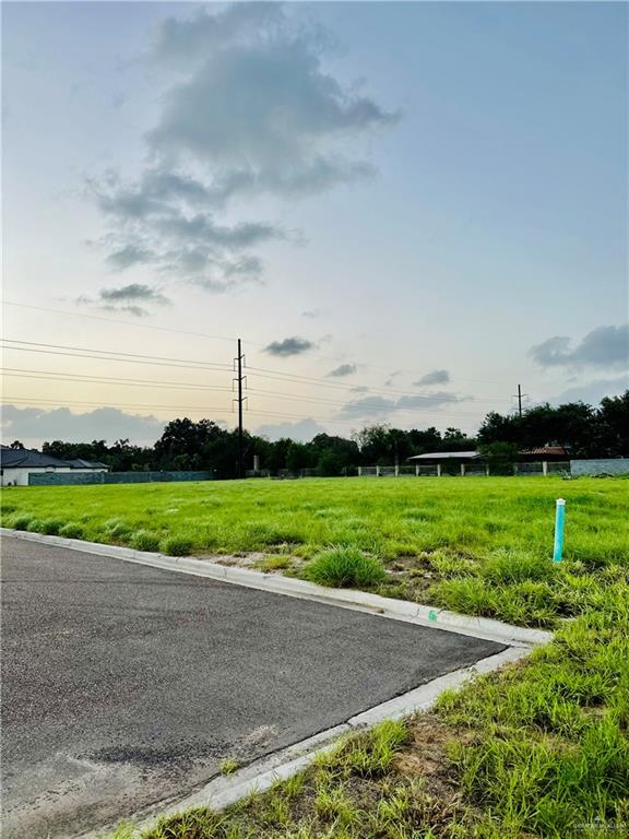 000 W Rockefeller Lane, Edinburg, Texas image 2