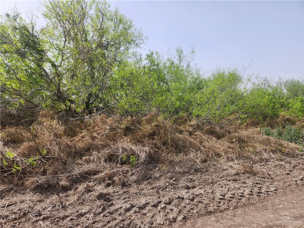 26459 Castillo Road, San Benito, Texas image 4