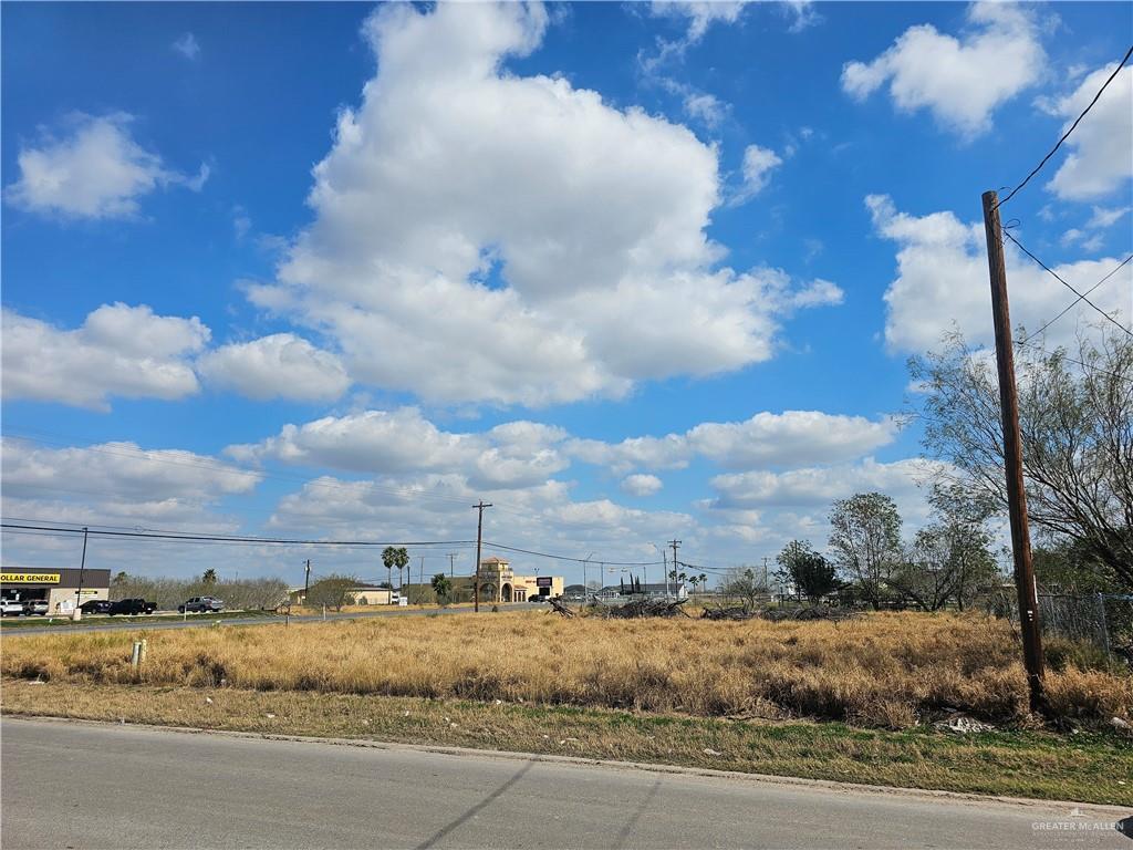 17928 Washington Palm Drive, Penitas, Texas image 1