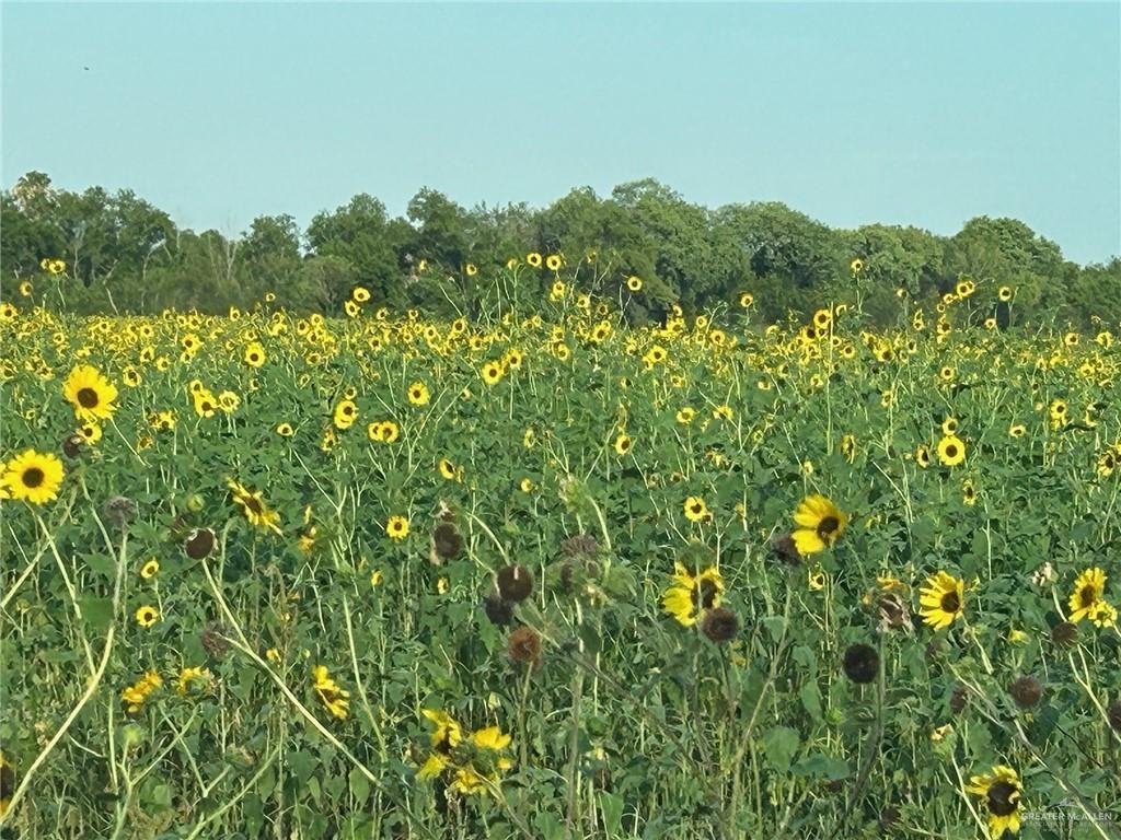 0000 S Military Road, La Joya, New York image 11