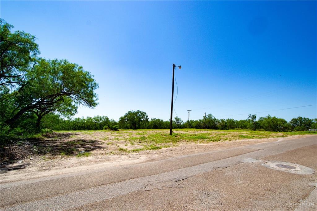 26 N Conquistador Rd, Roma, Texas image 4