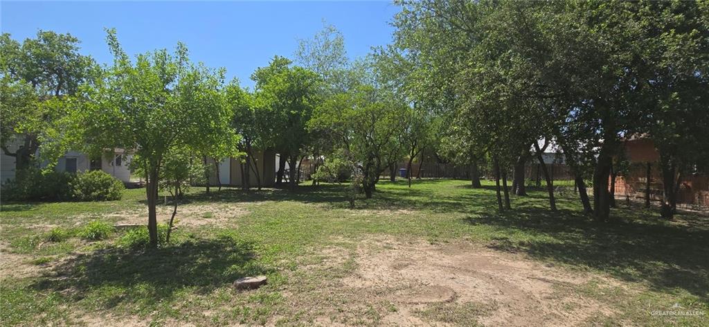 3104 Gumwood Avenue, McAllen, Texas image 7