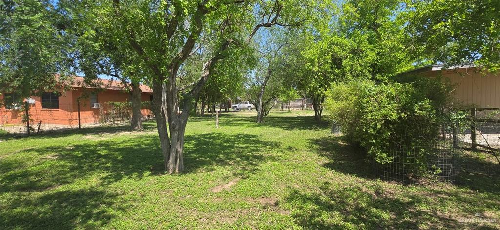 3104 Gumwood Avenue, McAllen, Texas image 5