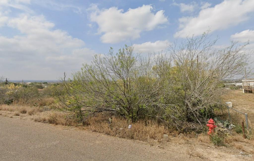 1019 Weslaco Lane, Zapata, Texas image 1