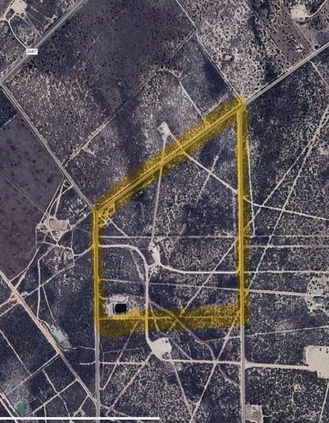 Vacant Land For Sale - 126 AC Fm 2687<br/> Zapata County, Zapata, TX 78076