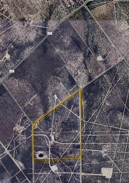 126 AC Fm 2687, Zapata, Texas image 2