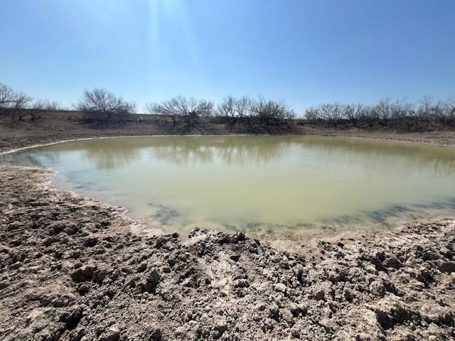 126 AC Fm 2687, Zapata, Texas image 6