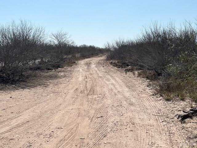 126 AC Fm 2687, Zapata, Texas image 3