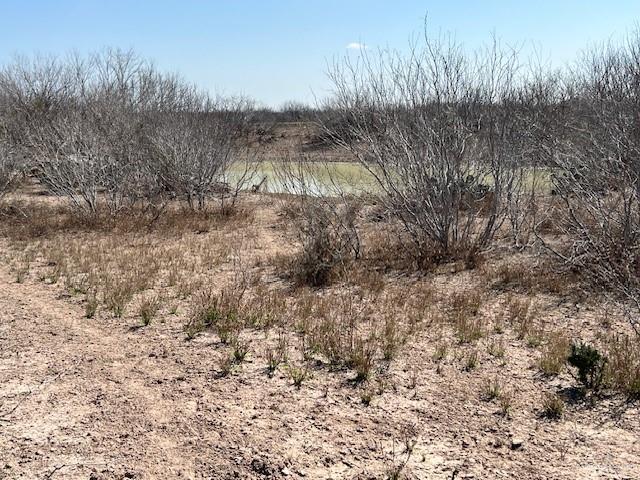 126 AC Fm 2687, Zapata, Texas image 4