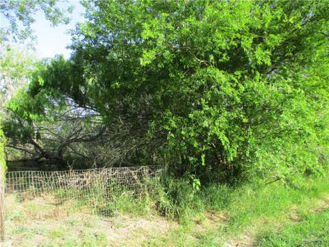 Vacant Land For Sale - Cantu Road<br/> Santa Rosa, TX 78593
