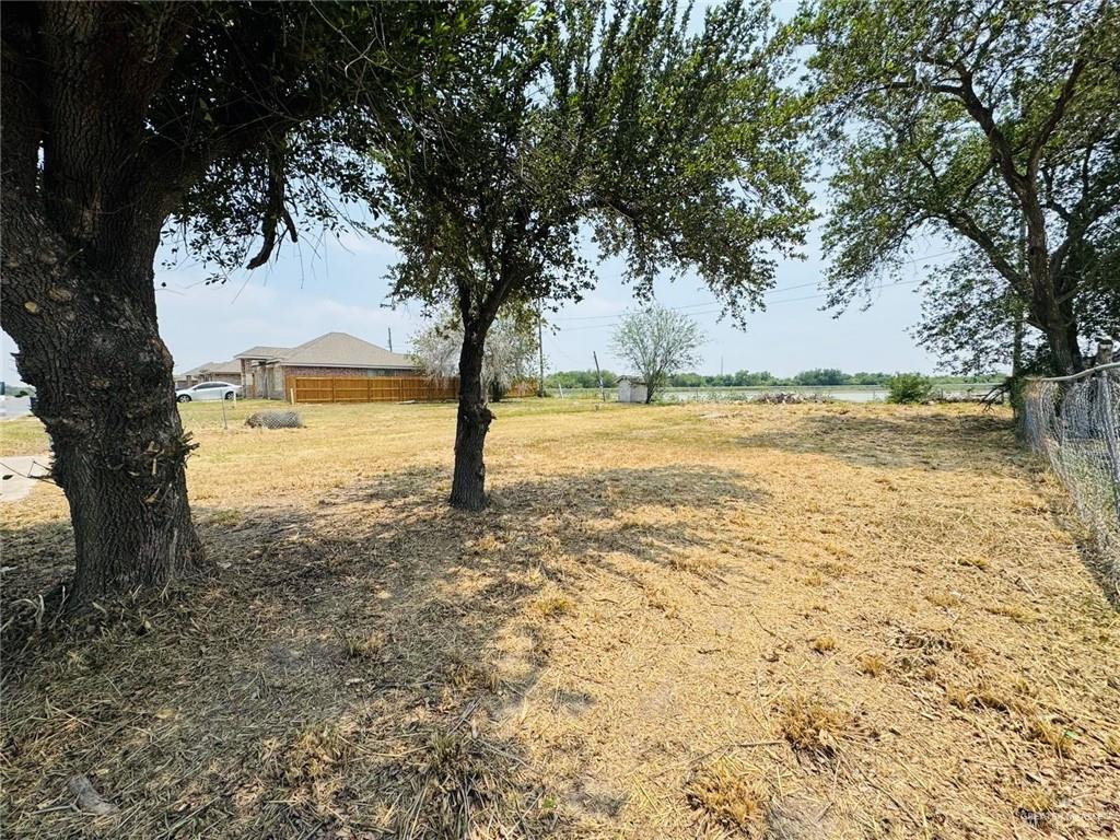 1101 Zelda Avenue, McAllen, Texas image 3