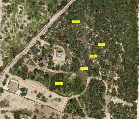Vacant Land For Sale - 10 Ebony Avenue<br/> Starr County, Roma, TX 78584