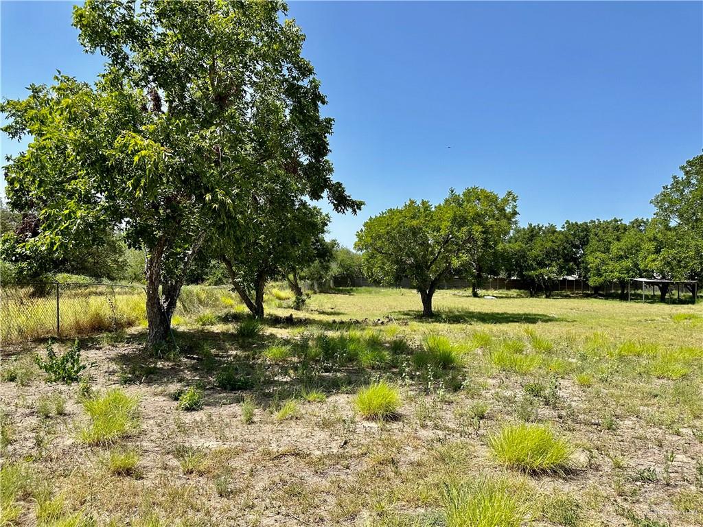 3513 N Shary Road, Mission, Texas image 3