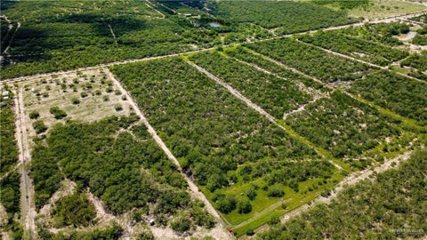 Vacant Land For Sale - 0000 Old Charco Blanco Road<br/> Starr County, Rio Grande City, TX 78582