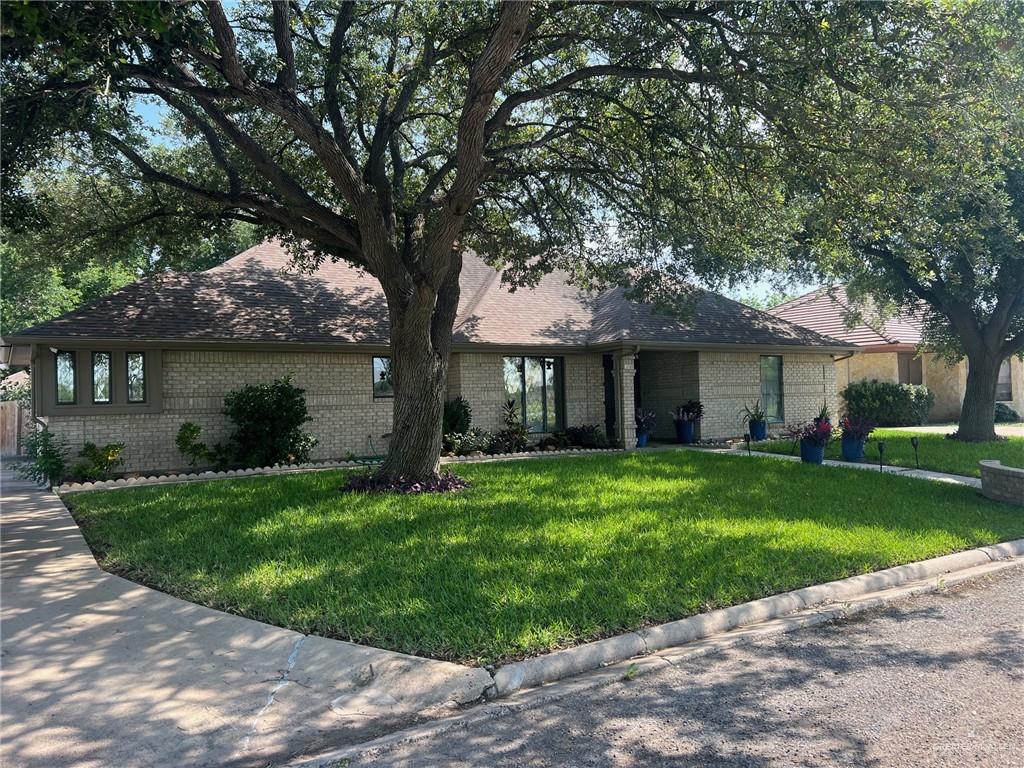 2709 Palmer Drive, Pharr, Texas image 5