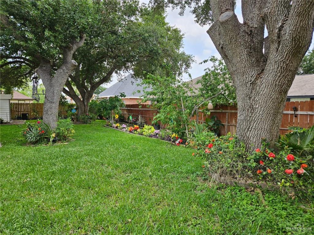 2709 Palmer Drive, Pharr, Texas image 14