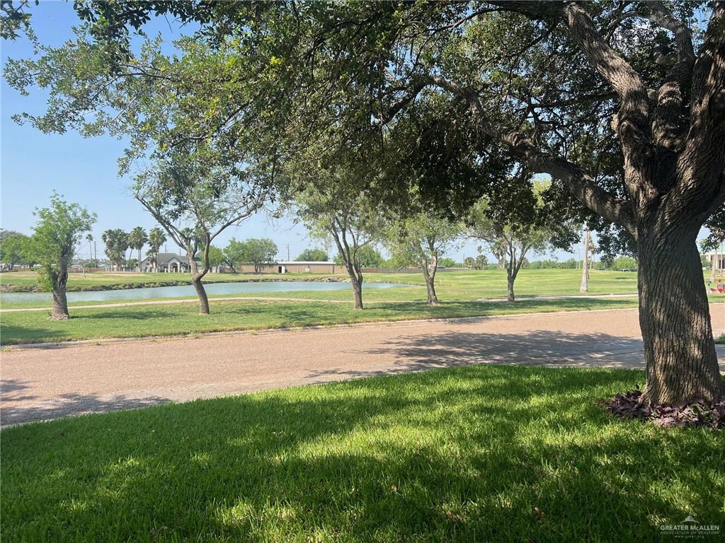 2709 Palmer Drive, Pharr, Texas image 6