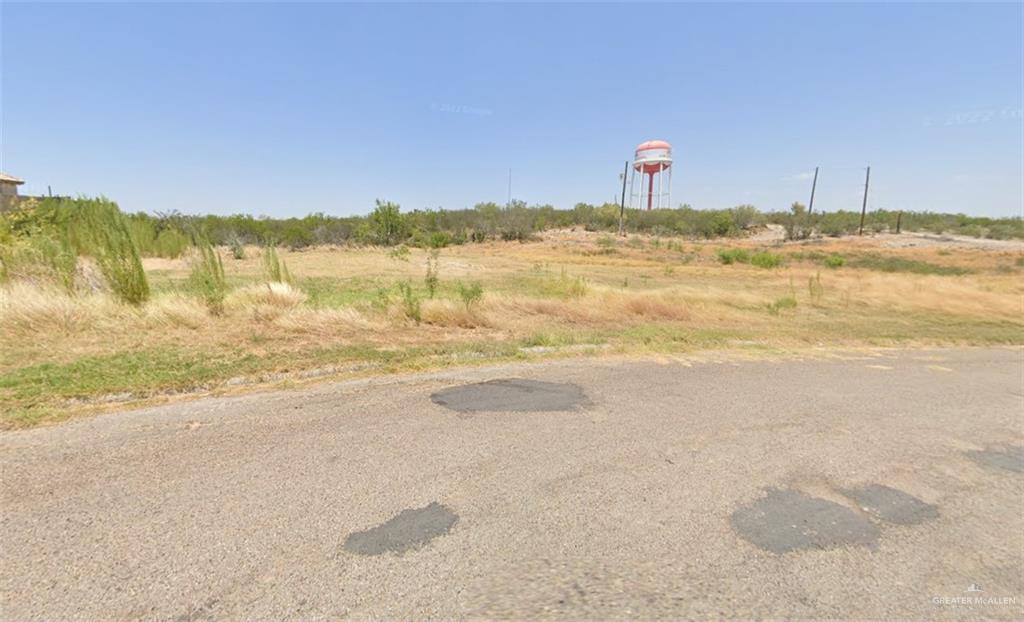 701 Dr Mario E Ramirez Avenue, Roma, Texas image 1