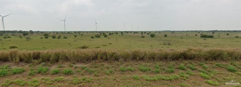 Vacant Land For Sale - TRACT 7 Fm 490<br/> Starr County, Rio Grande City, TX 78582