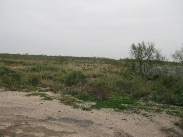 Rancho Blanco Road, Pharr, Texas image 4