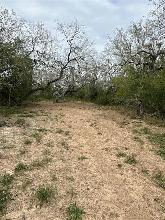 TBD Cr 406, Premont, Texas image 19