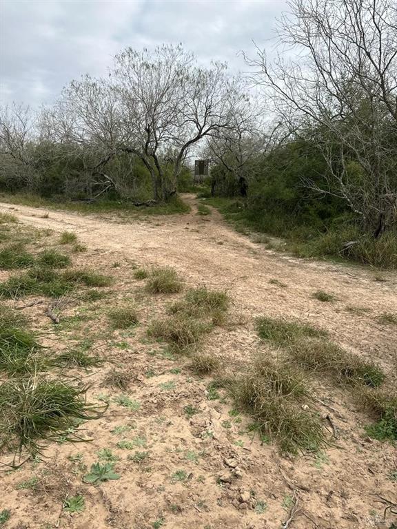 TBD Cr 406, Premont, Texas image 16