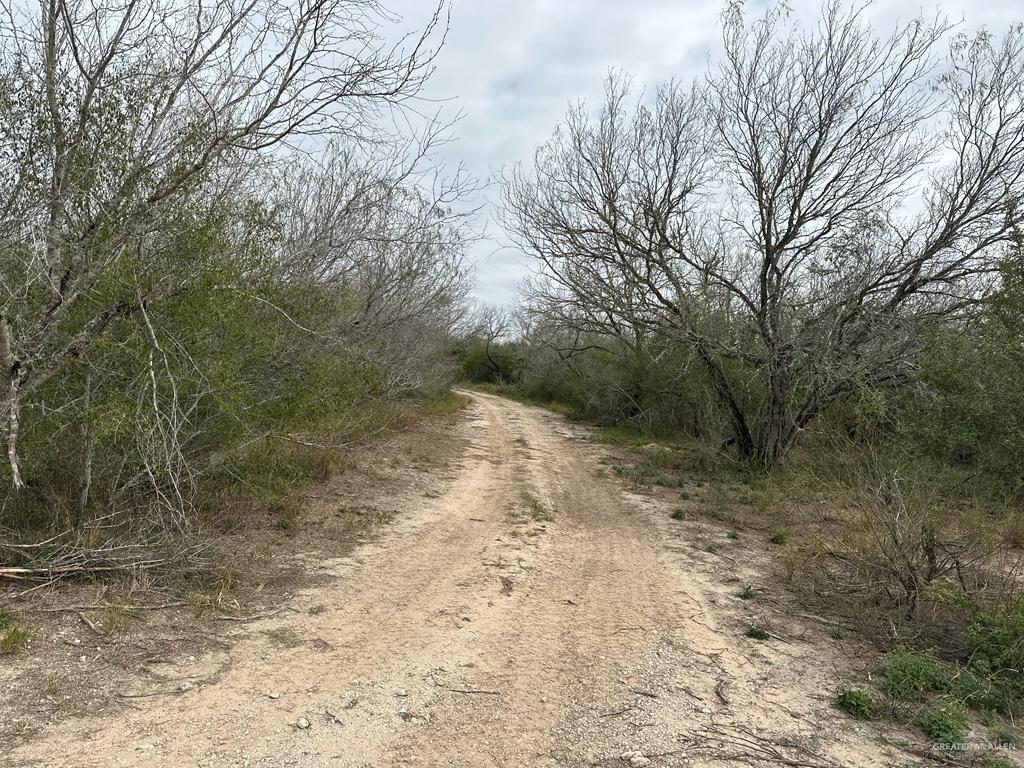 TBD Cr 406, Premont, Texas image 12