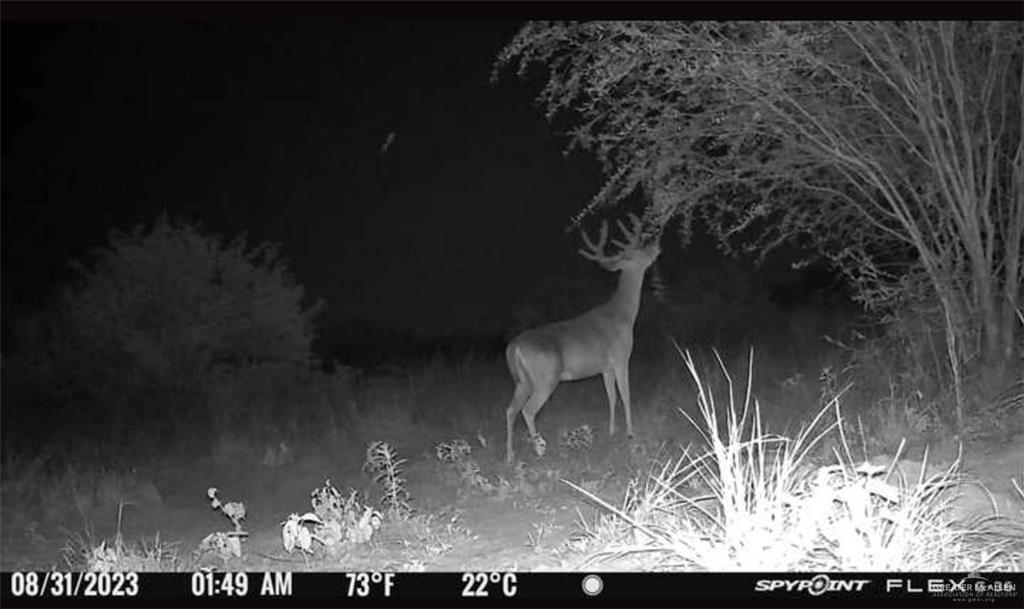 Cr 313, Encino, Texas image 8