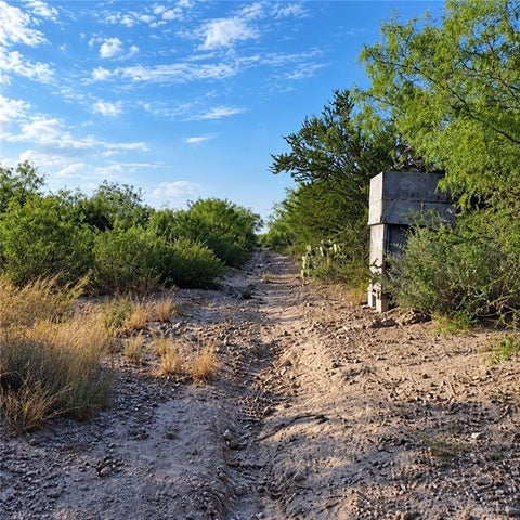 Vacant Land For Sale - 00001 Fm 3167<br/> Rio Grande City, TX 78582