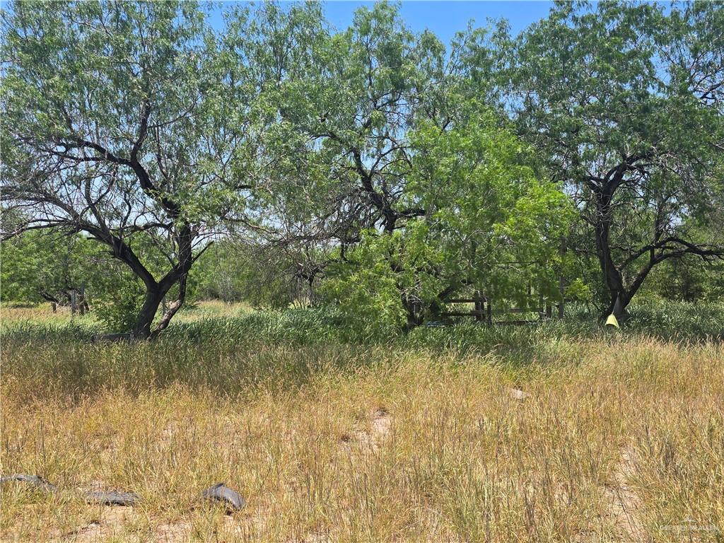 512 S Garza Avenue, La Joya, Texas image 2