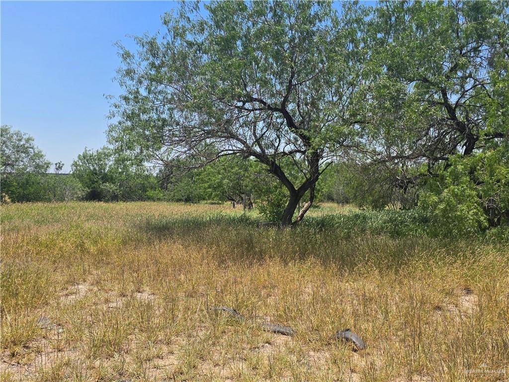 512 S Garza Avenue, La Joya, Texas image 1