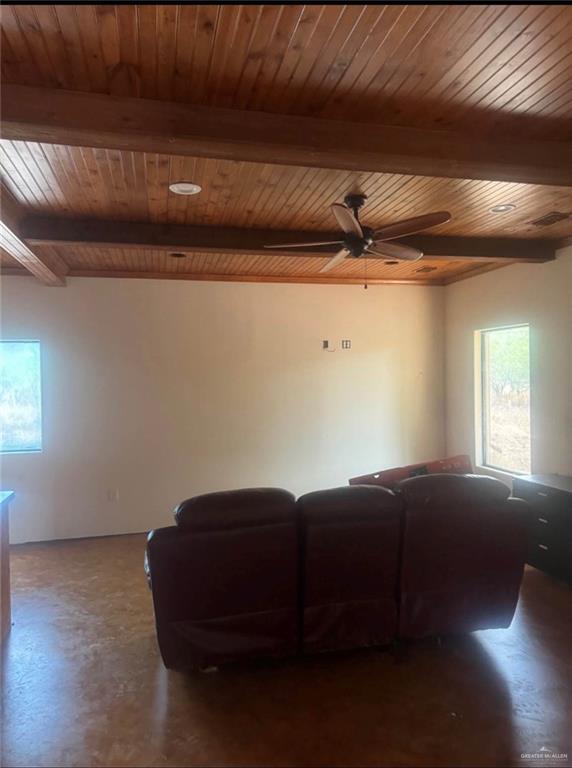 299 S Swordfish Street, Roma, Texas image 4