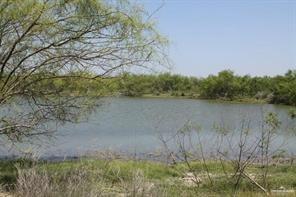 Loma Blanca Road, Roma, Texas image 3