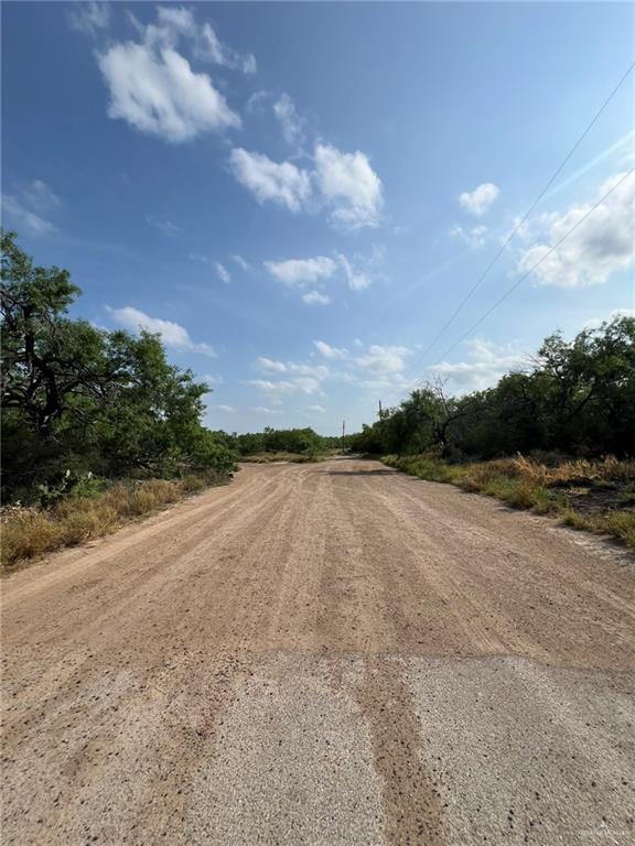 7739 Chihuahua Road, Mission, Texas image 1