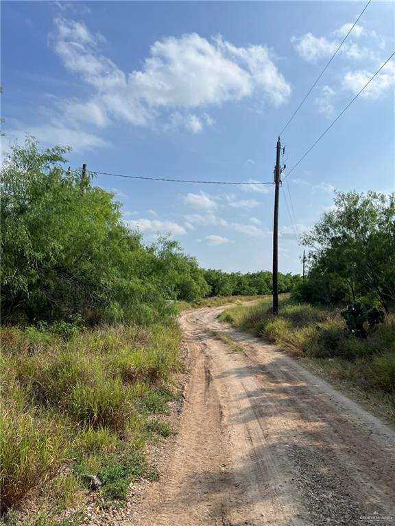 7739 Chihuahua Road, Mission, Texas image 5