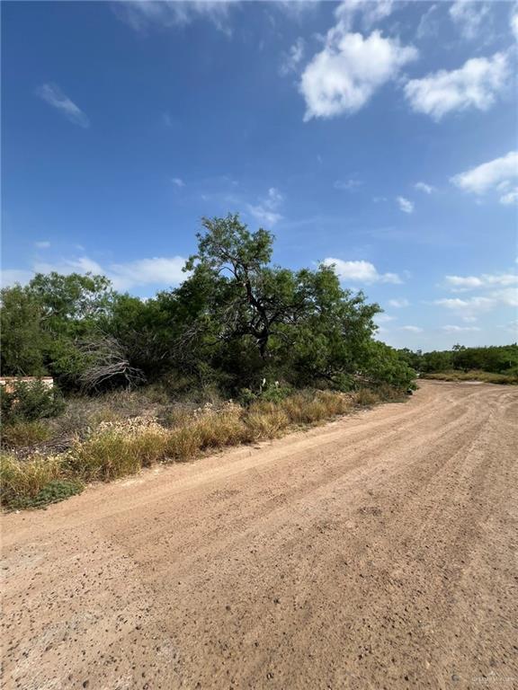 7739 Chihuahua Road, Mission, Texas image 3