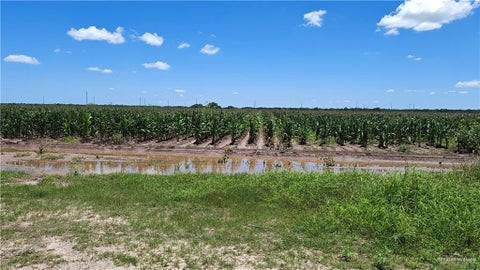 Vacant Land For Sale - 675 Landrum Park Road<br/> San Benito, TX 78586
